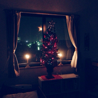 今年は子供部屋に。 2013/12/09 19:51:13