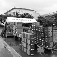 ▼△.. gypsyblue ..△▼ ボランティアDay 2013/04/06 11:08:00