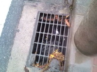 釣り場でのポイ捨てはやめましょう。 2012/04/18 08:31:57