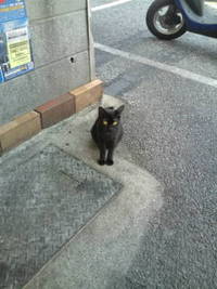くるまやー 2012/04/04 13:58:16