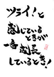 1月15日の記事 2012/01/15 17:52:48