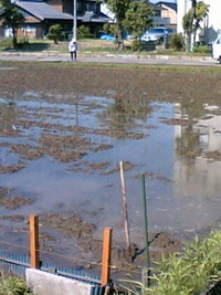 6月2日の記事 2007/06/02 17:39:56