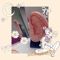 昨日は…♪♪ 2017/11/12 20:36:05