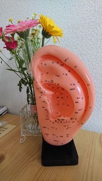 私の相棒～(*^▽^)/★*☆♪ 2017/05/14 18:48:57