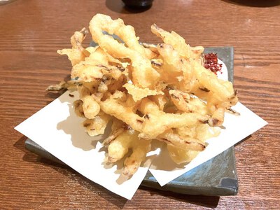 お祭り酒場  てん一　～美味しい料理の〆は、モツ鍋です♪～