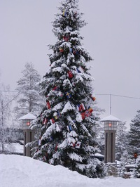 Christmasはもうすぐヽ(^。^)ノ