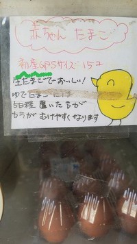 初産卵(^_-)-☆ 2020/01/09 18:00:00