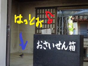 宮古島出張　宮古神社編(^^♪　