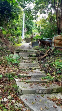 すーじ路散歩(*^-^*) 2019/02/19 06:30:00