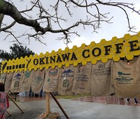 沖縄はcoffeeのニーズが高いね