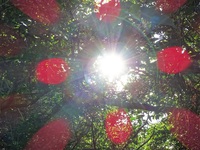 キラキラ✨ 2019/04/06 18:00:00