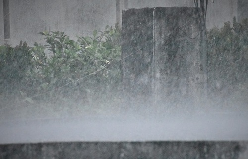 雨の日のお気に入り♬