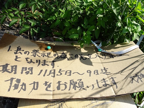 行けたよ大神島♡