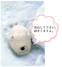 うう(ノД`)・゜・。 喉がイガイガ。鼻水じゅるじゅる。。本格的に風邪引いちゃった!? 2015/11/20 10:09:48