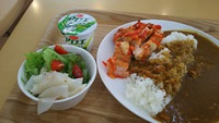 きゃっふ～！！今日の社食はカレーだよ～(*‘∀‘)♡ 2015/06/12 17:32:44
