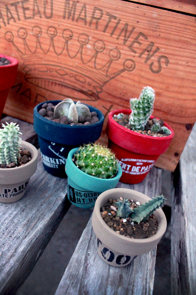 植物オタクな話。