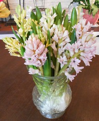 切花入荷☆ 2018/01/23 16:12:36