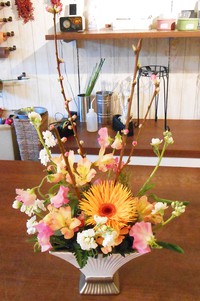 本日の定期☆彡 2018/02/13 14:26:22
