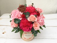母の日の贈り物☆彡2 2018/05/01 17:54:02