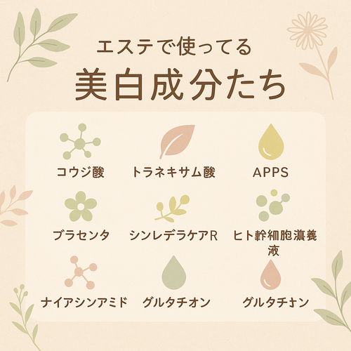 サロンで使用している美白成分の紹介