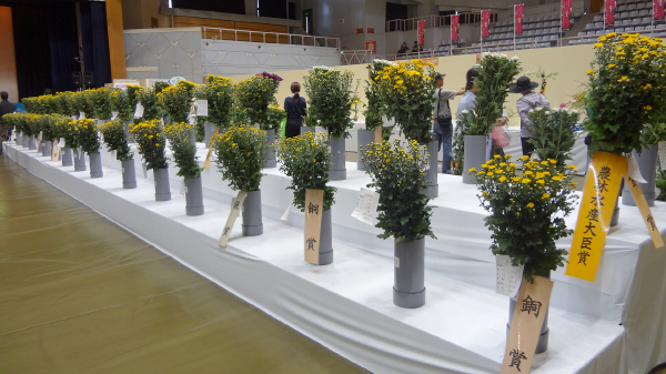 イベント 園芸フェア 第29回沖縄の花まつり おきなわ花と食のフェスティバル21公式サイト