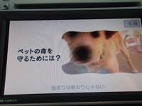 小中学生向け・動物の命の教育 2016/07/08 12:15:00