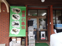 昆虫専門店インセクトマート 2016/08/08 11:45:43