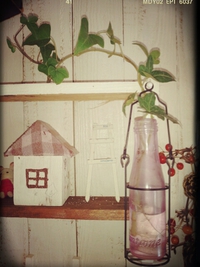greenの根っこ＊＊＊ 2014/01/06 11:45:56