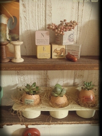 egg＊＊＊ 2014/03/27 21:52:16