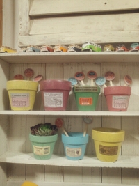 リメ鉢とお知らせ＊＊＊ 2014/04/04 22:18:06