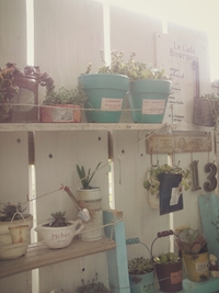リメ鉢＊＊＊ 2014/04/06 16:15:54