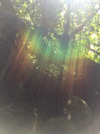 久高島〜〜 2017/07/13 11:50:30
