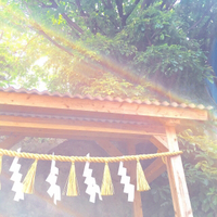 垣花ヒージャーの旅２ 2016/07/29 07:07:00