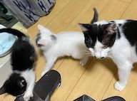 上映会、決まりました！