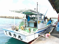 佐良浜漁港①　マグロ船到着！ 2020/10/17 10:00:00