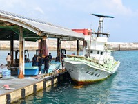 佐良浜漁港②　カツオとマグロ 2020/10/20 10:20:00