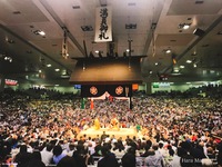 2019年の帰省　『大相撲名古屋場所』 2019/08/19 18:54:14