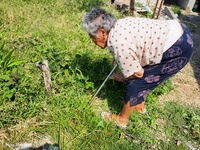 多良間島へ⑤　“ セツおばー ” その2 2018/08/20 22:20:02
