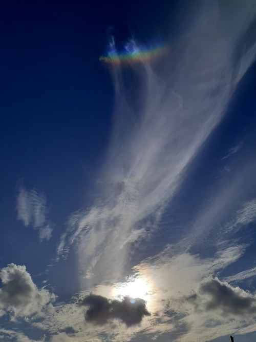 お散歩の空