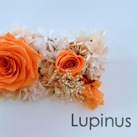 【治療院紹介】那覇：美容鍼灸Lupinus(ルピナス)