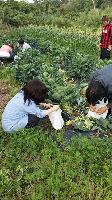 ３月１５日のはるこん♪