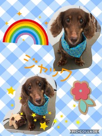 お久しぶりです❗ 2018/08/27 15:37:40