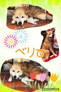 大城ハヤト 2018/09/07 19:34:32
