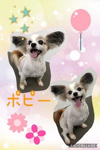 HAPPY NEW YEAR✨ 2019/01/10 11:06:28
