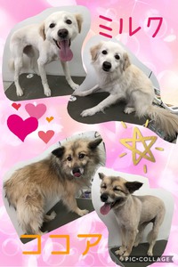 1周年‪⸜(*ˊᵕˋ* )⸝‬ 2019/05/07 23:20:34