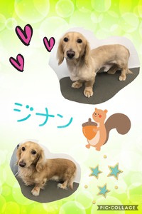 トリミング(*°∀°)= 2019/05/09 16:56:56