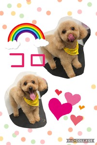 (∗•ω•∗) 2020/03/23 20:10:55