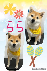 復活(*'▽'*)♪ 2020/05/09 19:34:26