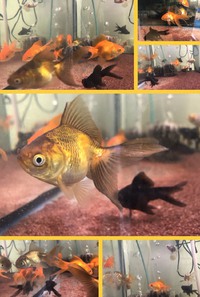 セール中(o^^o) 2020/05/10 16:37:06