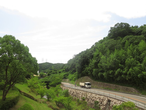 総合運動公園　広い